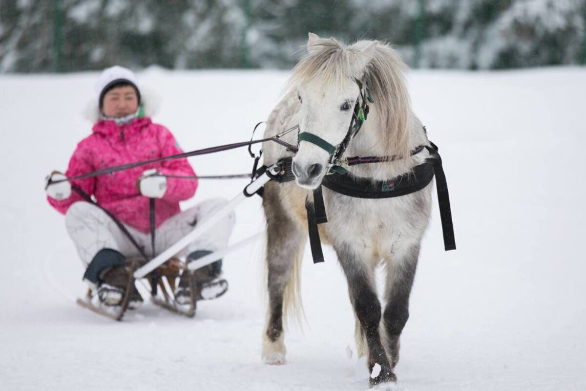 Top 10 things to in Meribel for non-skiers