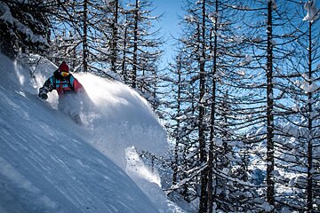 Snowboarder trees powder