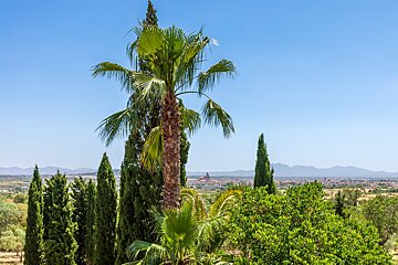 Finca Son Jorbo Hotel, Porreres