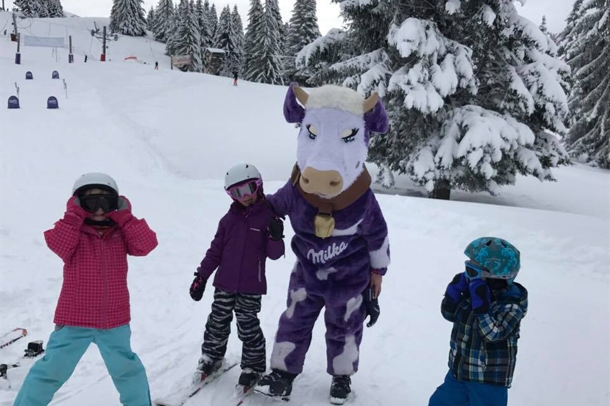 Group Ski Lessons,