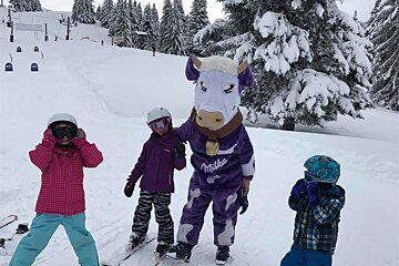 Group Ski Lessons,