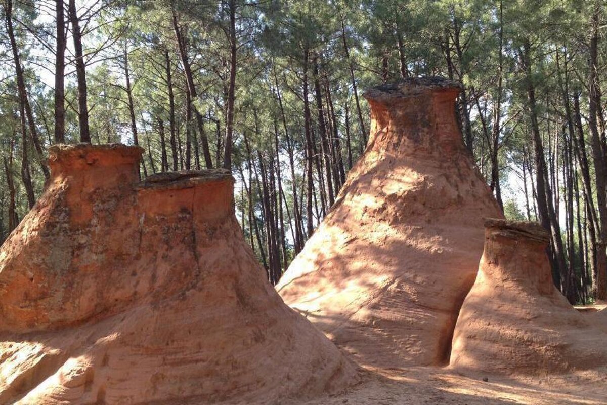 A group of rock formations in the middle of a forest