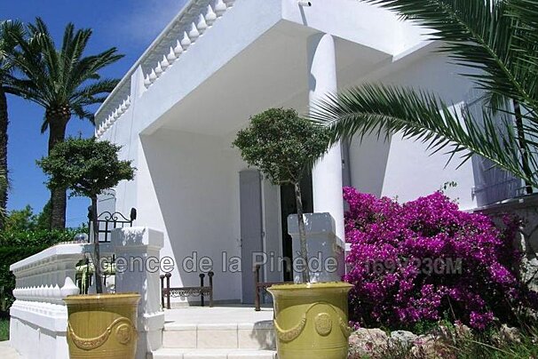 A white house with purple flowers in front of it