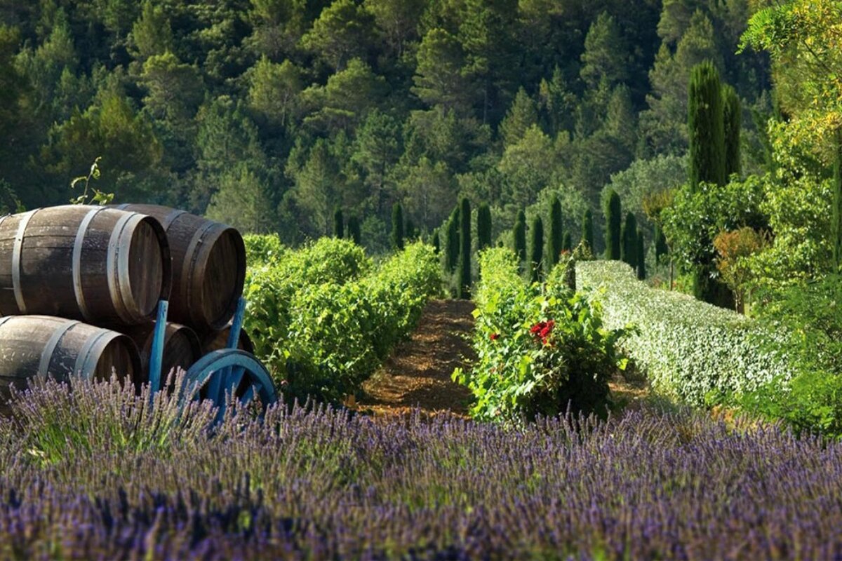Chateau de Berne, Lorgues