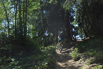 a mountain biker on a trail in the trees in chamonix