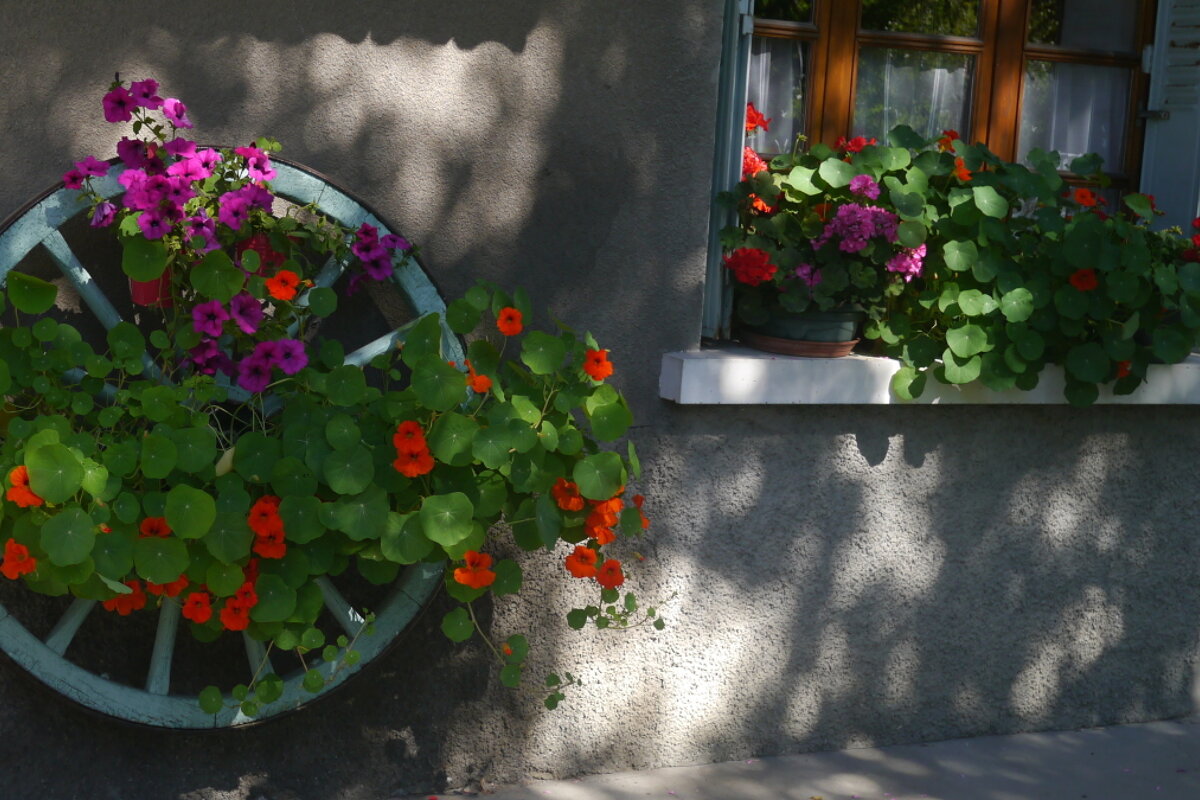 flowers on a chalet