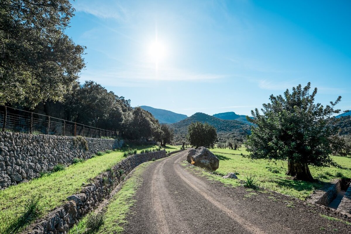 About Walking in Mallorca