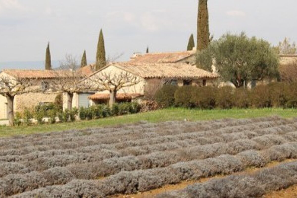 Bacon Immobilier, Bonnieux villa