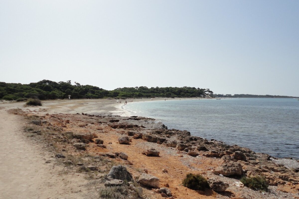 Rugged coastline in parts of Es Trenc Beach Mallorca