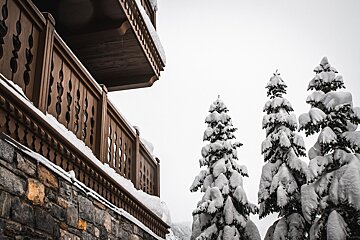 Snow covered trees in front of a building with a balcony