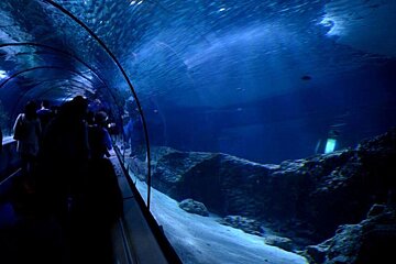 Marineland Waterpark, Antibes