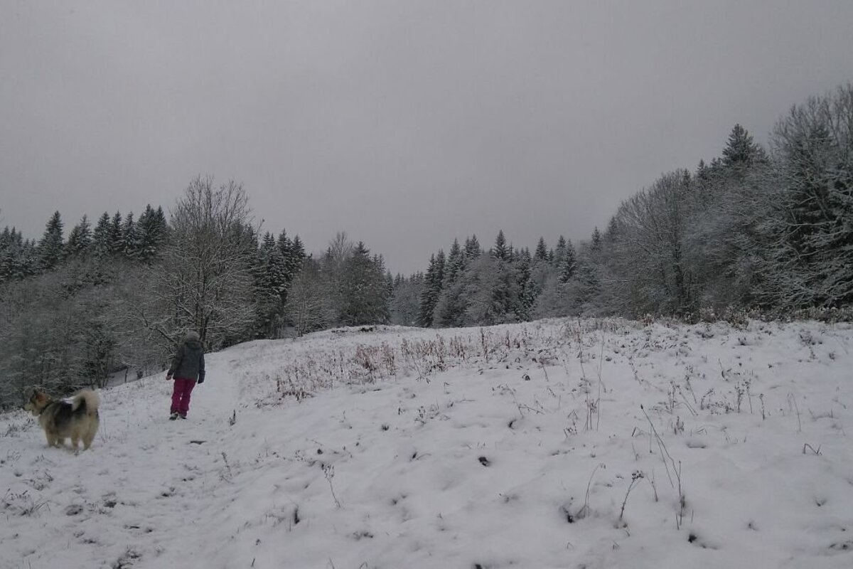 A hiker and dog on a snowy trail in Chamonix