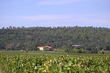 Domaine Saint Mitre Vineyard, St Maximin la St Baume