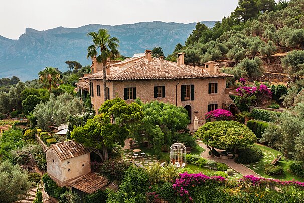 A large house sits in the middle of a lush green forest