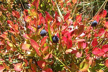 Autumn Hiking in the Vallon de Berard, Vallorcine