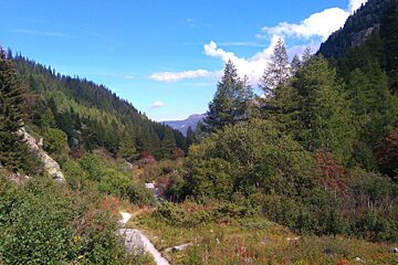 View down the Berard valley