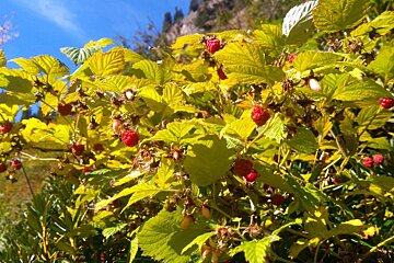 Autumn Hiking in the Vallon de Berard, Vallorcine