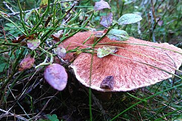 Autumn Hiking in the Vallon de Berard, Vallorcine