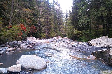 River in the forest near Chamonix
