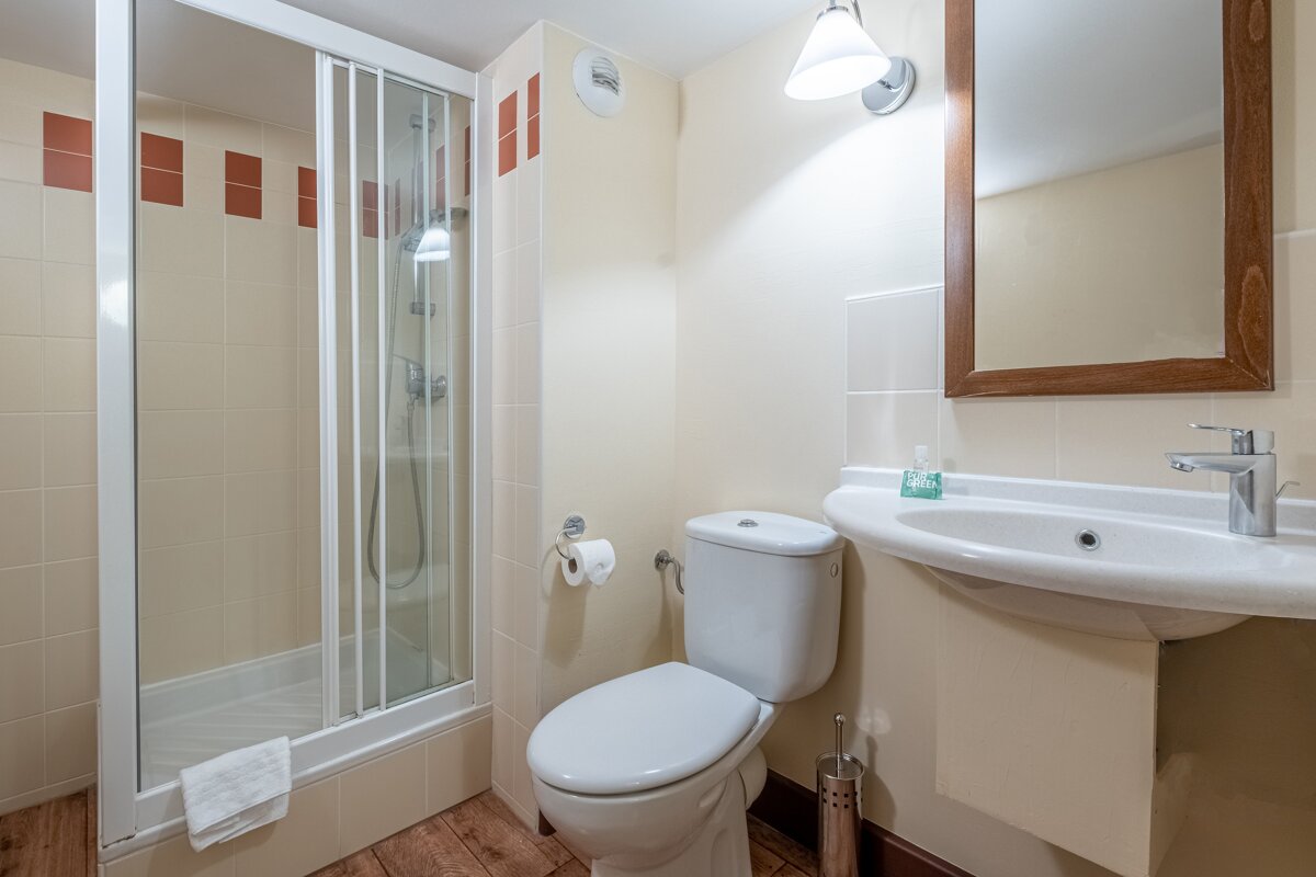 A bathroom with a toilet a sink and a mirror