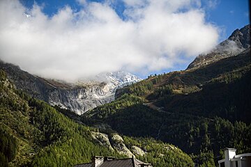 A mountain covered in trees with a building in the foreground
