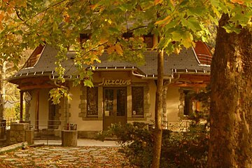 Regular Live Music at La Maison des Artistes, Chamonix
