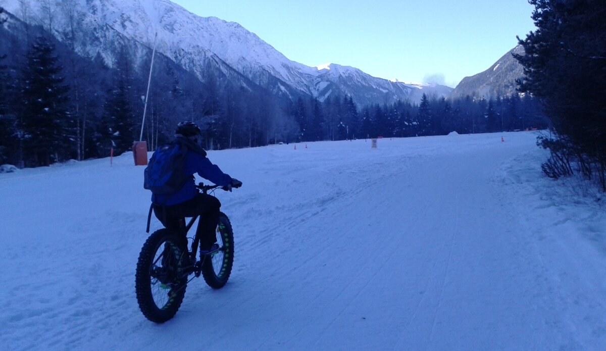 Fat clearance bike snow