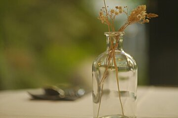 A clear glass vase with flowers in it on a table