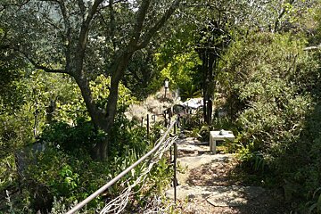 Hardy's Botanical Garden