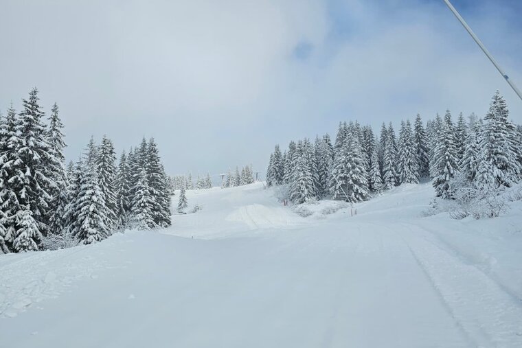 A snowy piste in Les Gets/Morzine