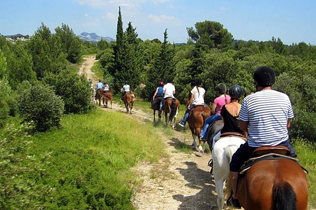 Horse Riding through the Garrigue Alpilles