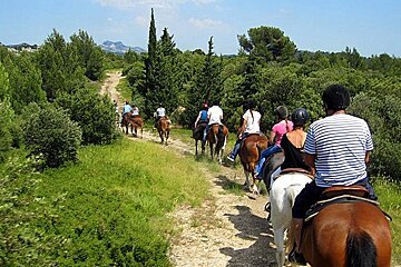 Horse Riding through the Garrigue Alpilles