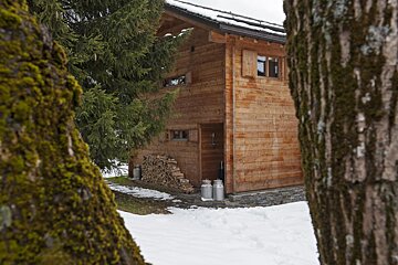 A wooden house with a stack of logs in front of it