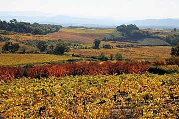 Fall for autumn 2018 in Provence