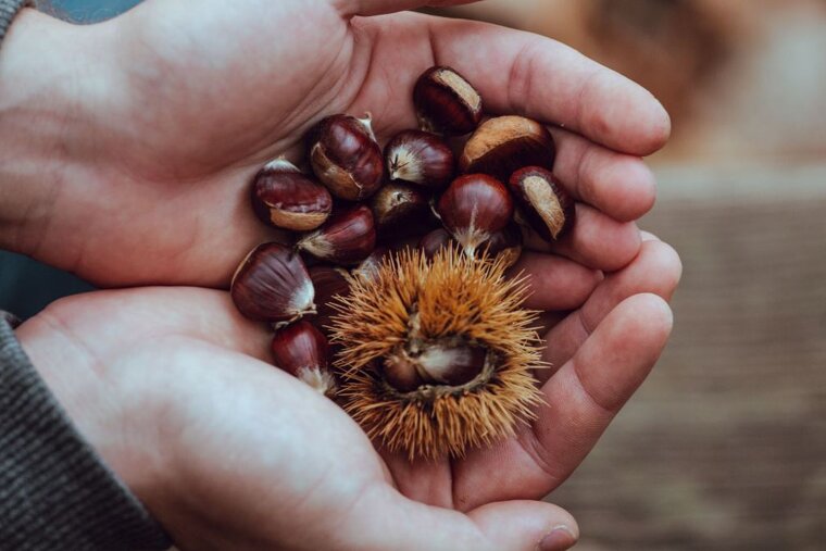 Fall for autumn 2018 in Provence
