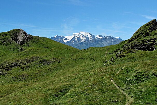 A path going through a grassy hillside with mountains in the background