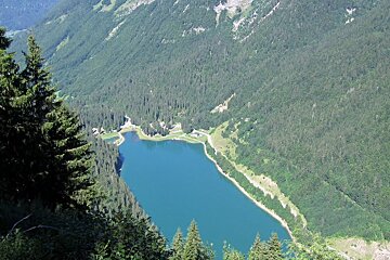 An aerial view of a lake surrounded by trees