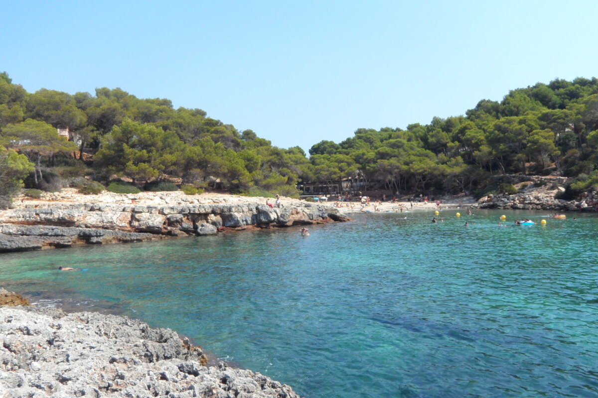 A body of water surrounded by trees and rocks