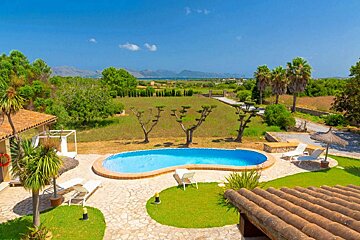 A large swimming pool in the middle of a lush green yard