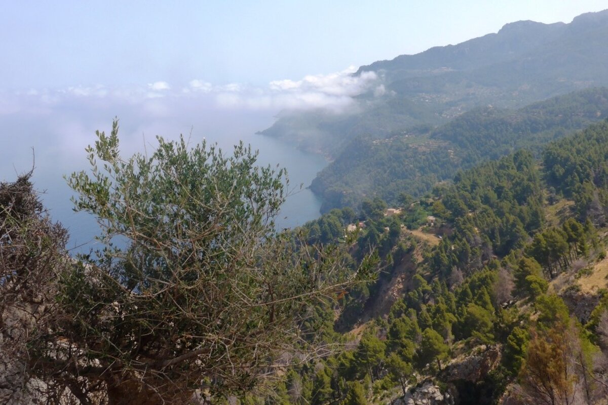 looking down to the sea from a restaurant terrace