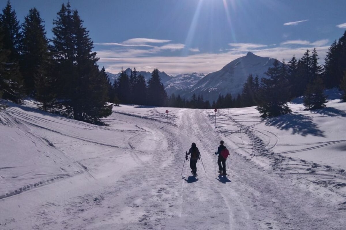 Snowshoeing hiking in Les Houches, Chamonix