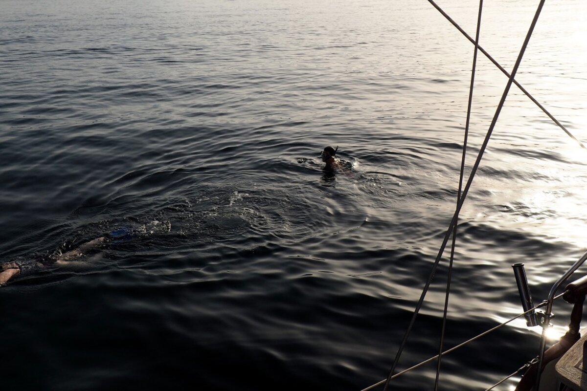 people snorkelling off the side of a boat