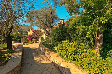 A stone walkway leads to a house surrounded by trees and bushes