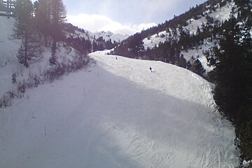 wide piste near the trees