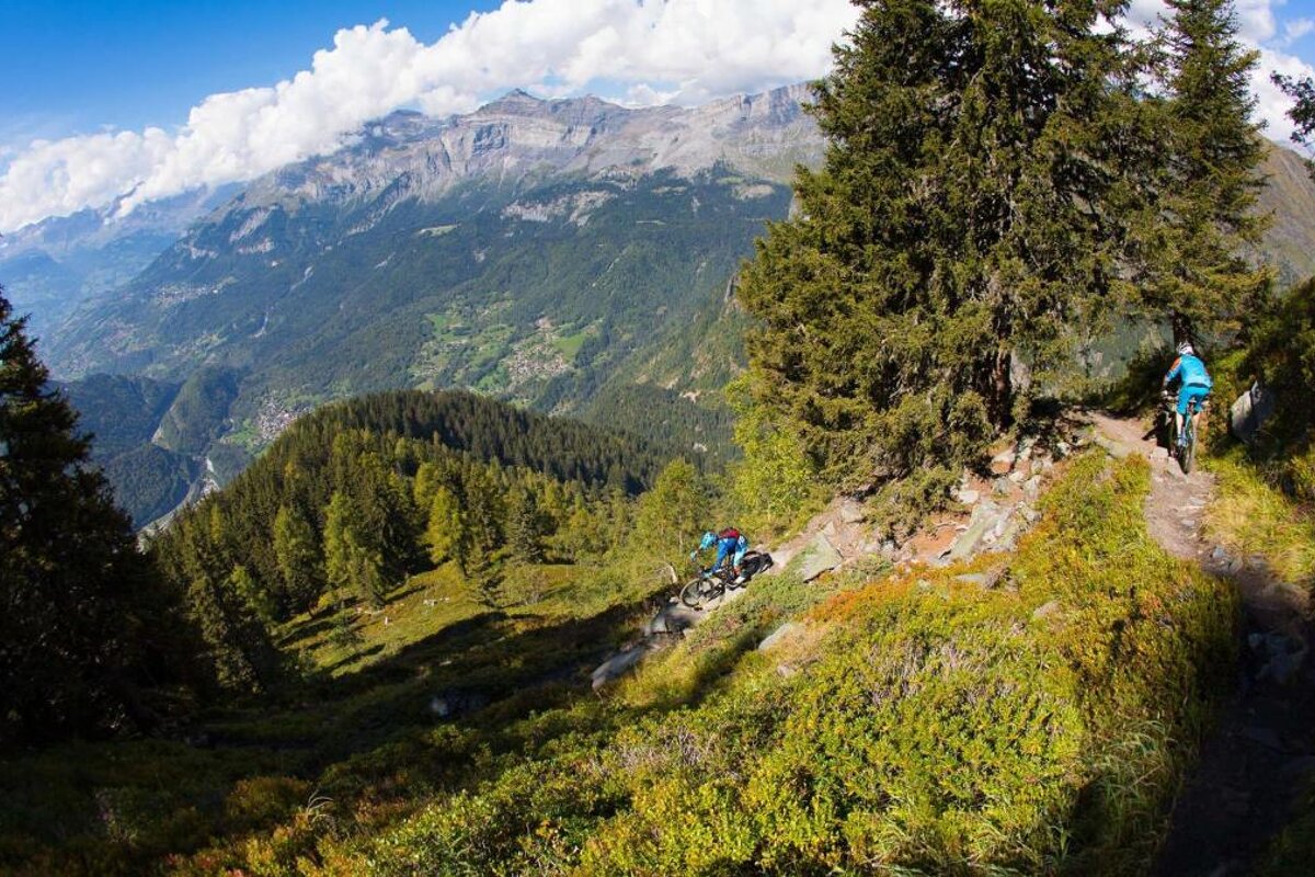 Legend'CHX, Chamonix Sud - Mountain Bike Guiding
