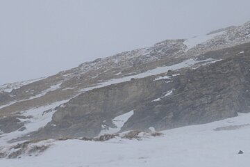 a deer in the clouds