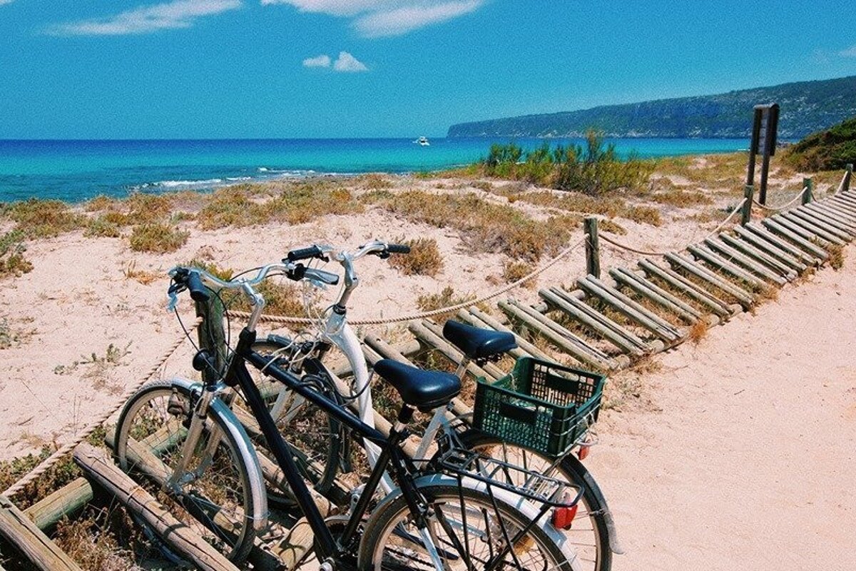 Vehicle registration in Formentera this summer 2019