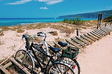 Vehicle registration in Formentera this summer 2019