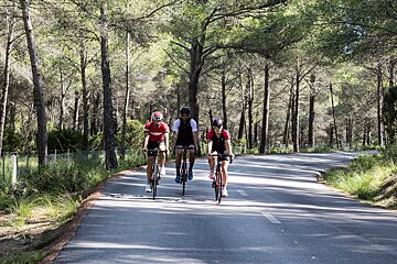 A group of cyclists are riding down a road surrounded by trees