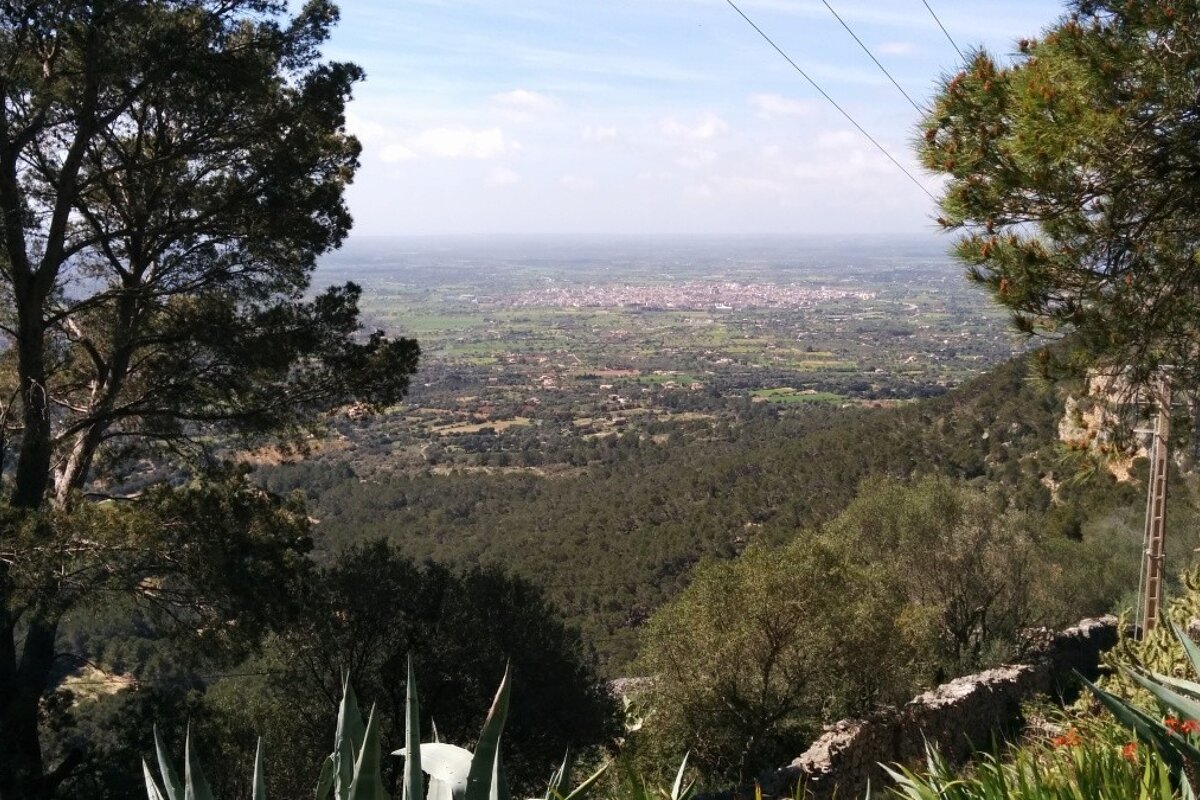 Hiking up the Puig de Randa Review